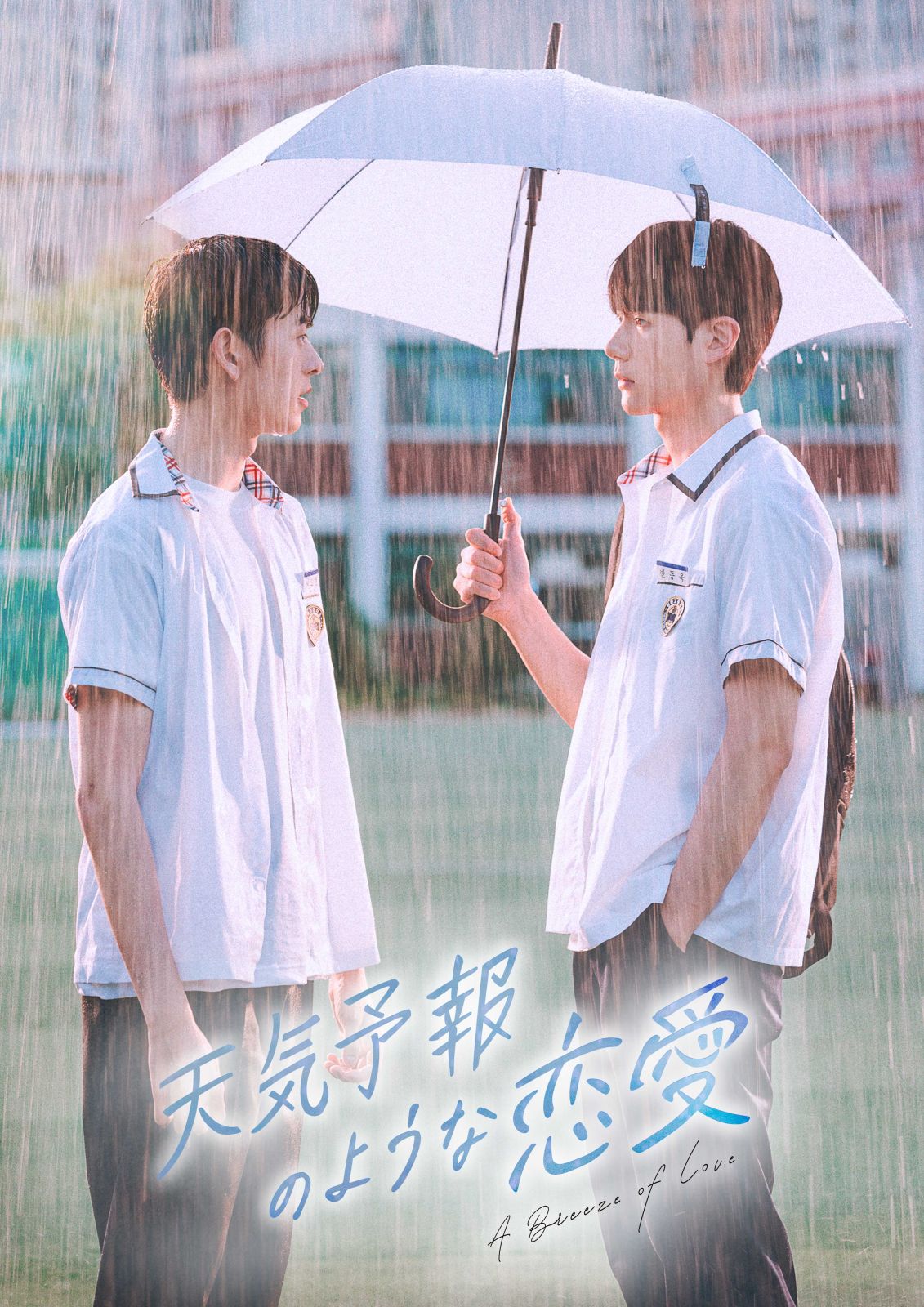 天気予報のような恋愛