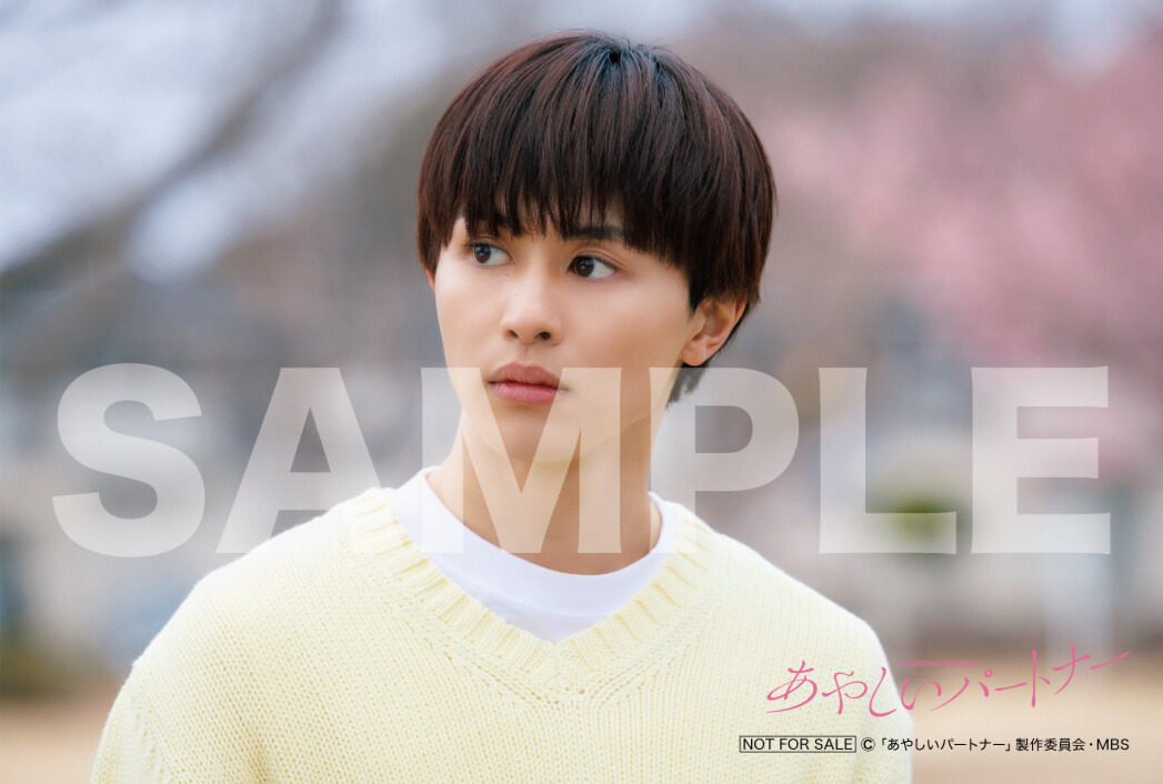 ドラマ「あやしいパートナー」Blu-ray＆DVD-BOX2026.2.4（水）発売決定